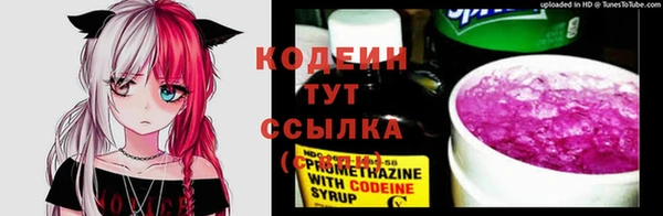 меф Няндома
