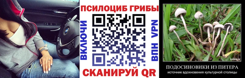 Галлюциногенные грибы ЛСД  Кологрив 